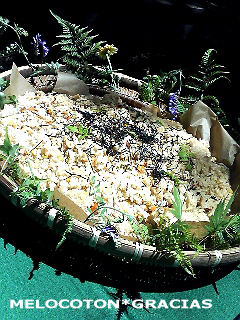 2007_05_29_02.jpg