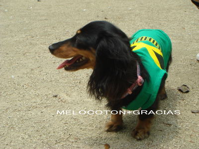 2007_07_26_02.jpg
